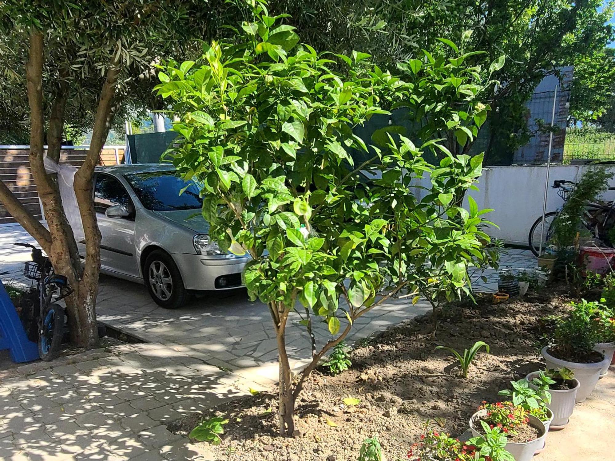 Villa Arli&Eris Vlorë Buitenkant foto